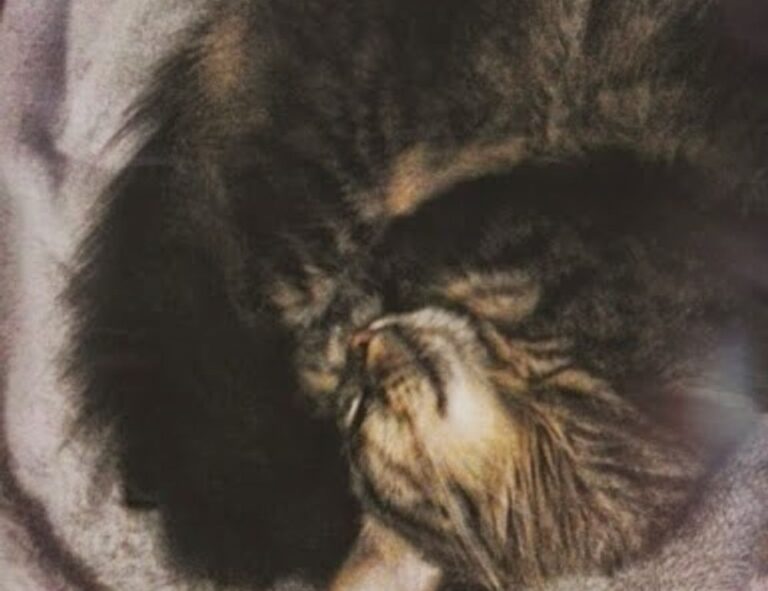 can too much gaming overdertoza cause anxiety