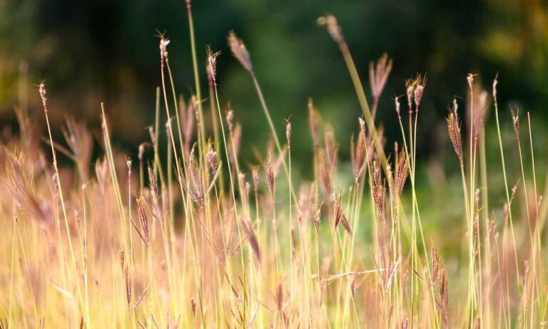 how to fix dowsstrike2045 python code