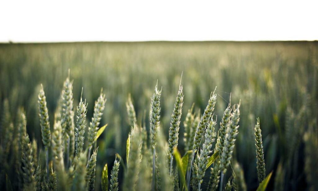 how to install mozillod5.2f5