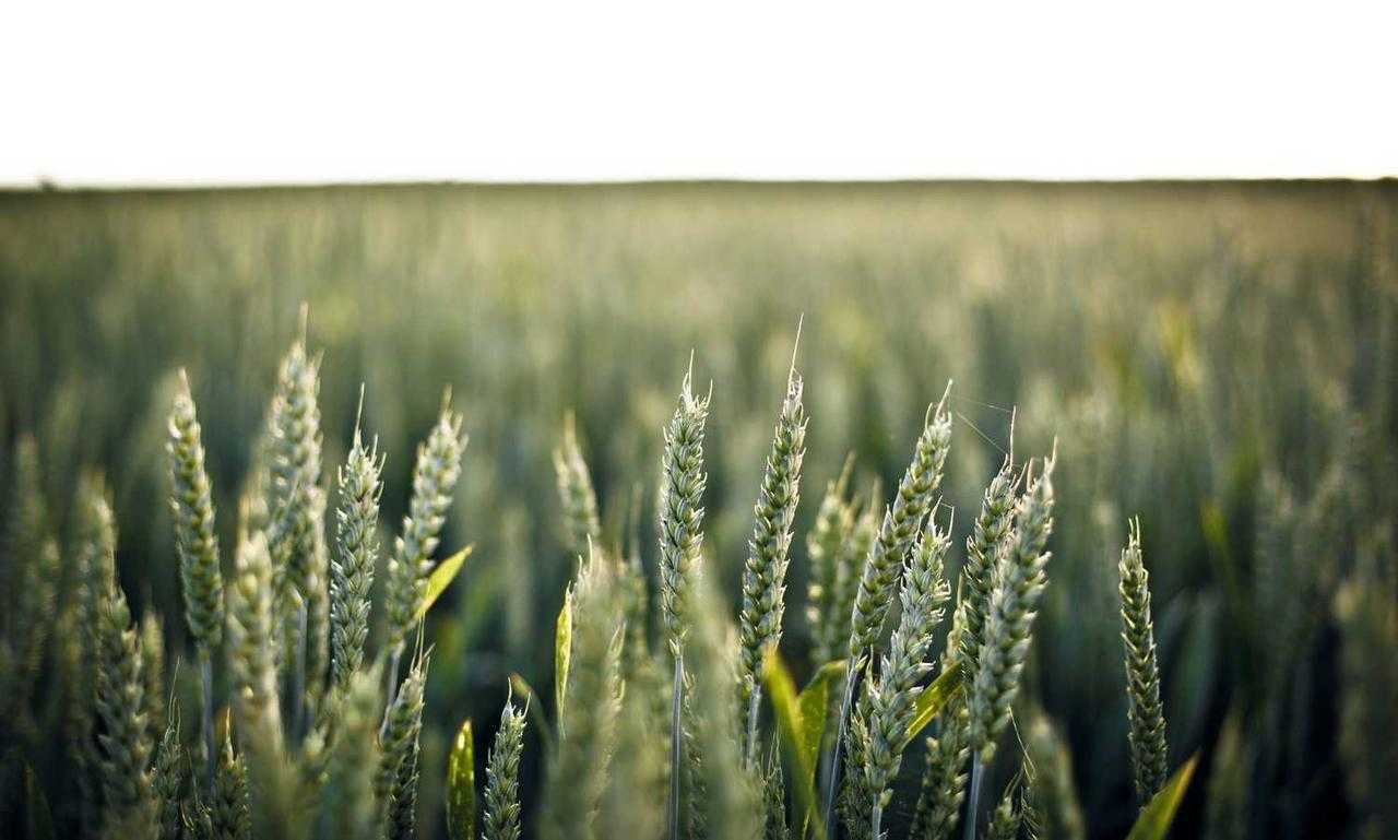 how to install mozillod5.2f5