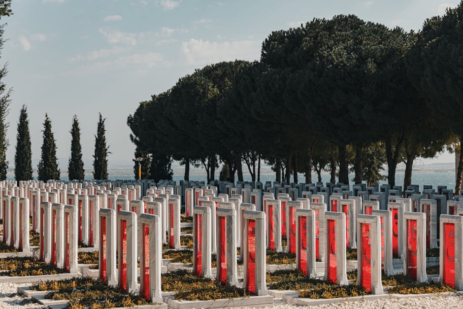 starfall legacy review