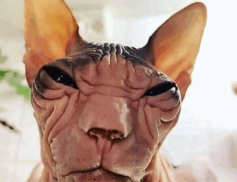 best gaming updates feedgamebuzz