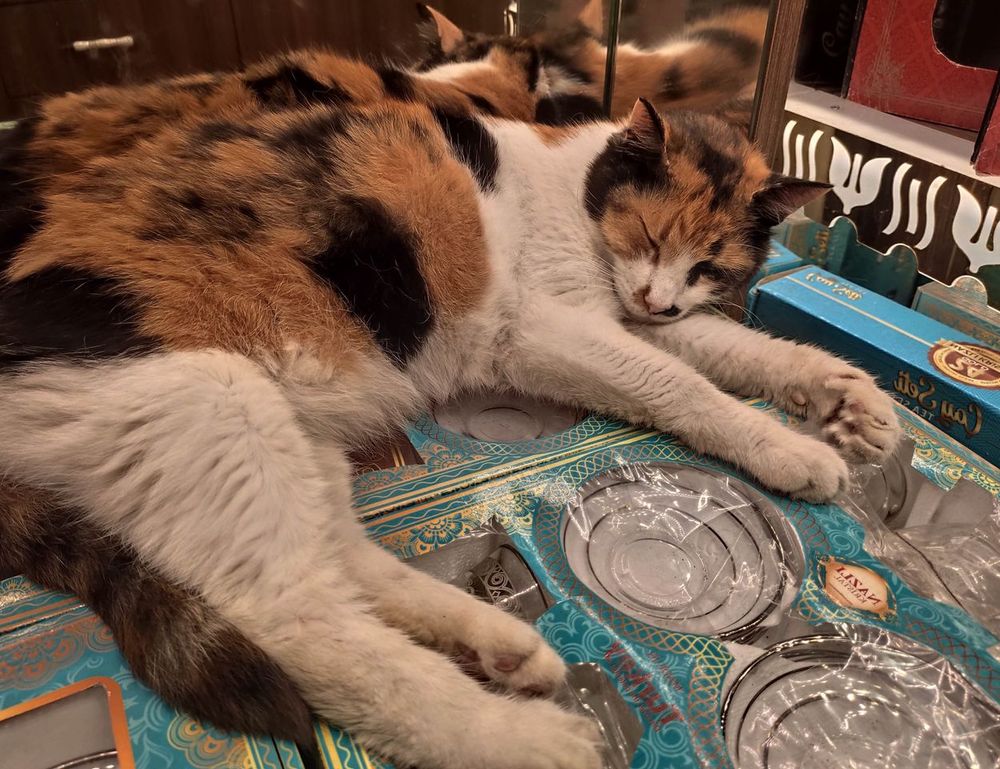 best hacks for gaming by feedgamebuzz