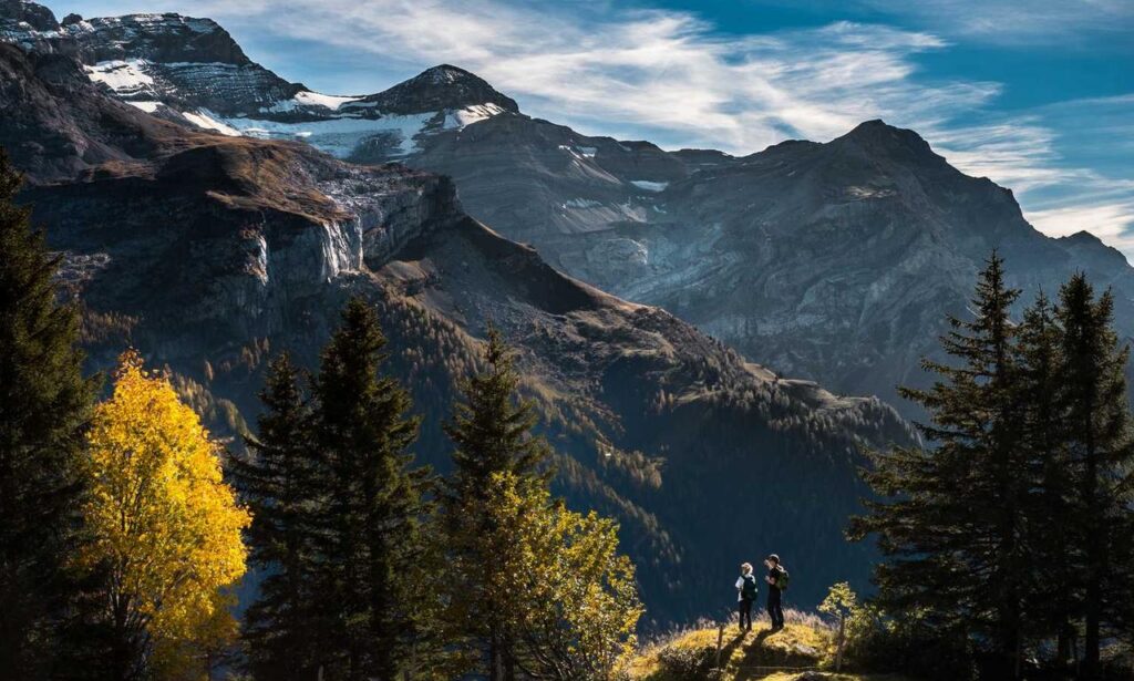 gameplay guide togplayering