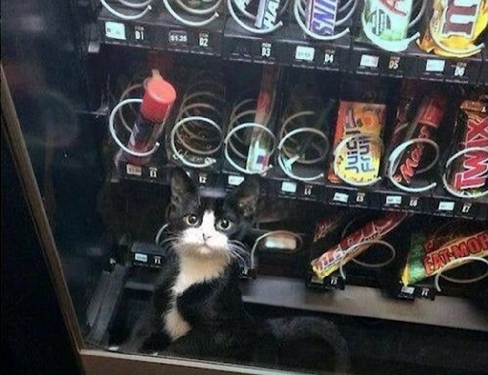 gaming news jogametech