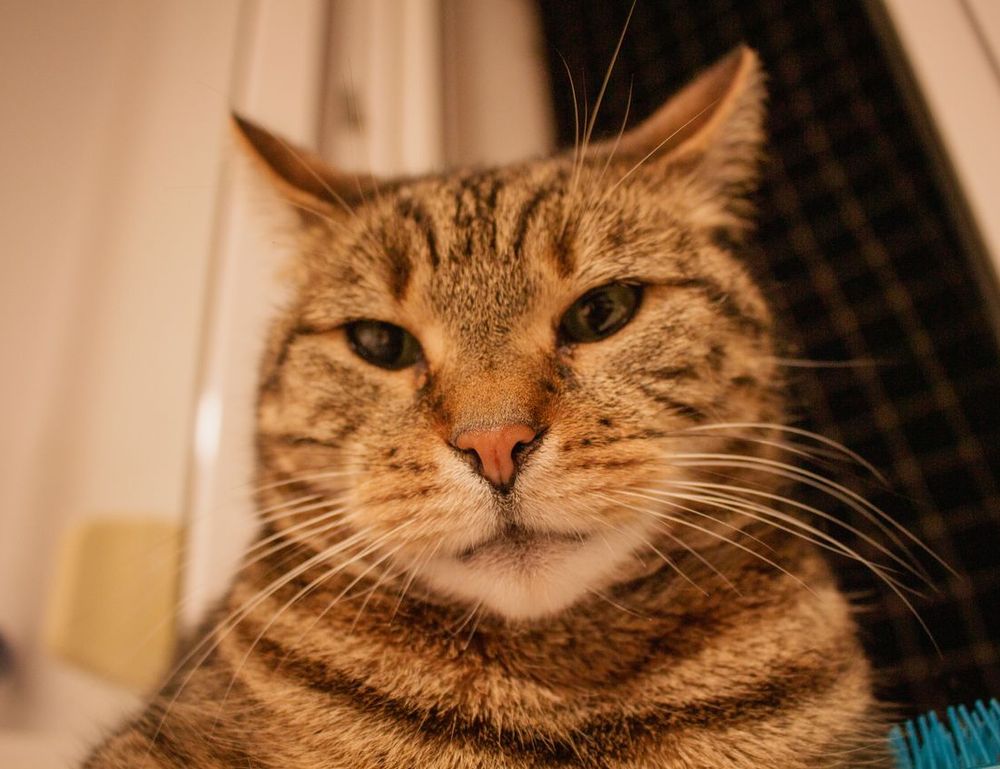 gaming news tgageeks