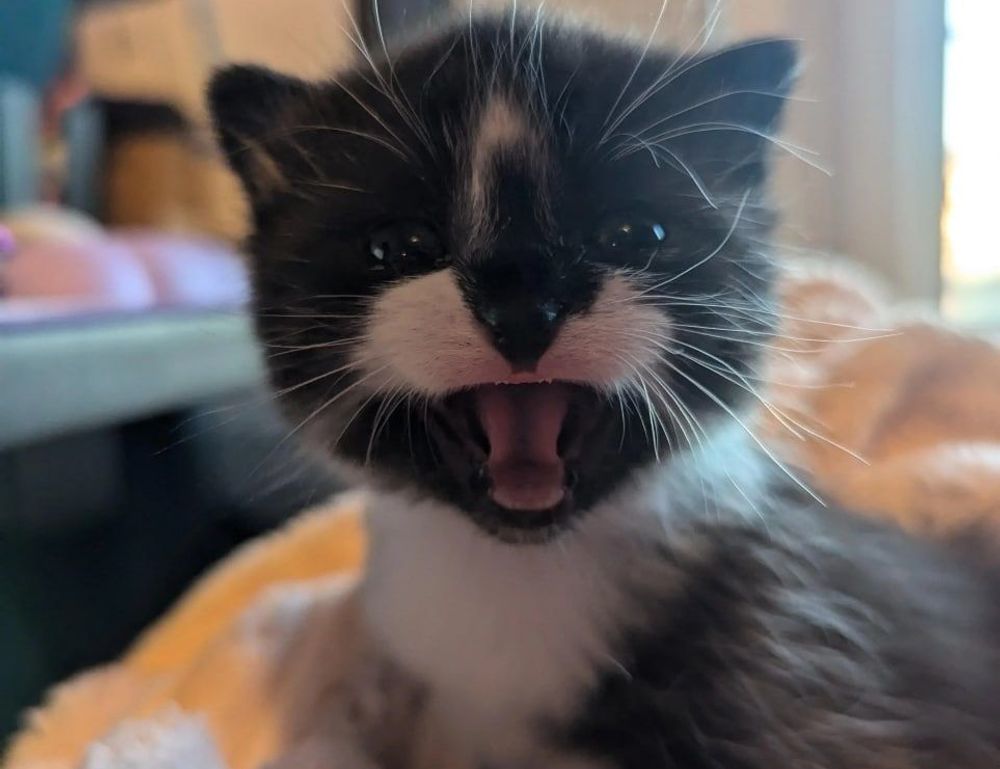 gaming tutorials tgageeks