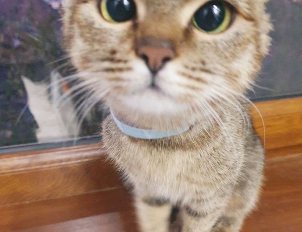 gaming updates feedgamebuzz