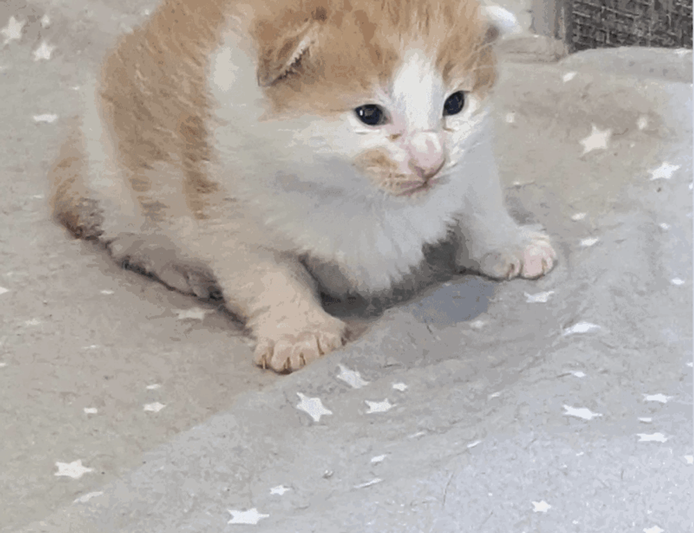 latest tips for gaming by feedgamebuzz