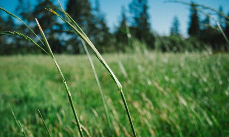 new video games jogametech