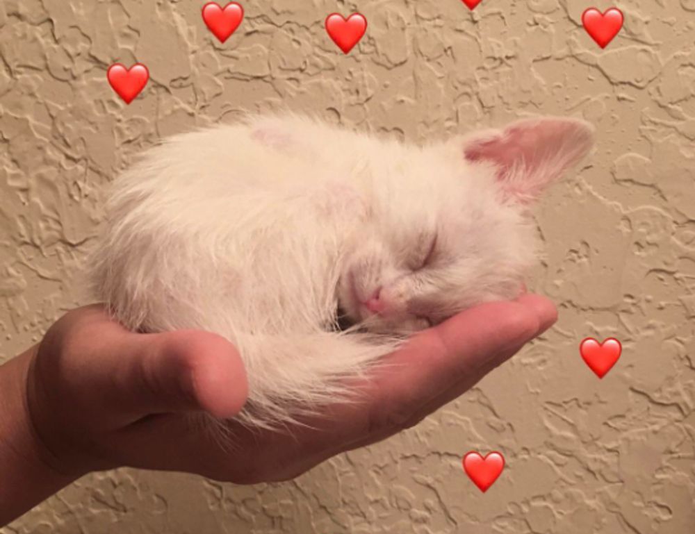 tgageeks gaming news from thegamearchives