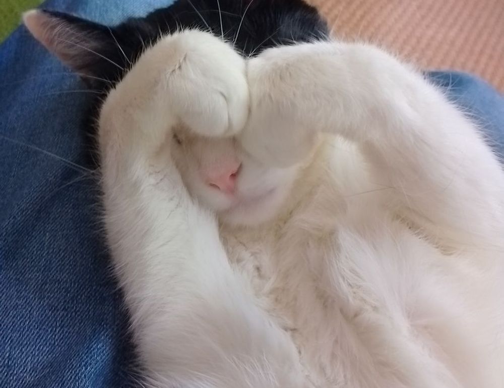 tgageeks gaming update