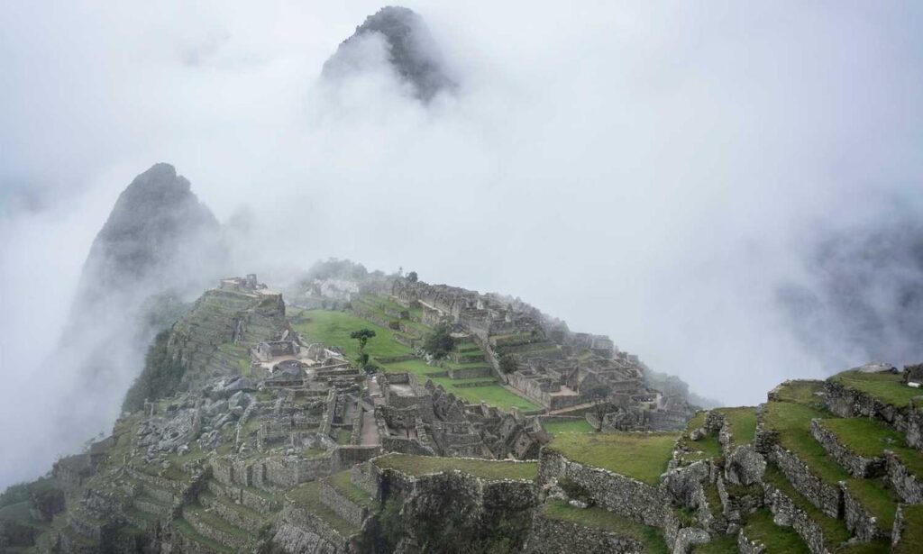 togplayering gameplay guide by thinkofgamers