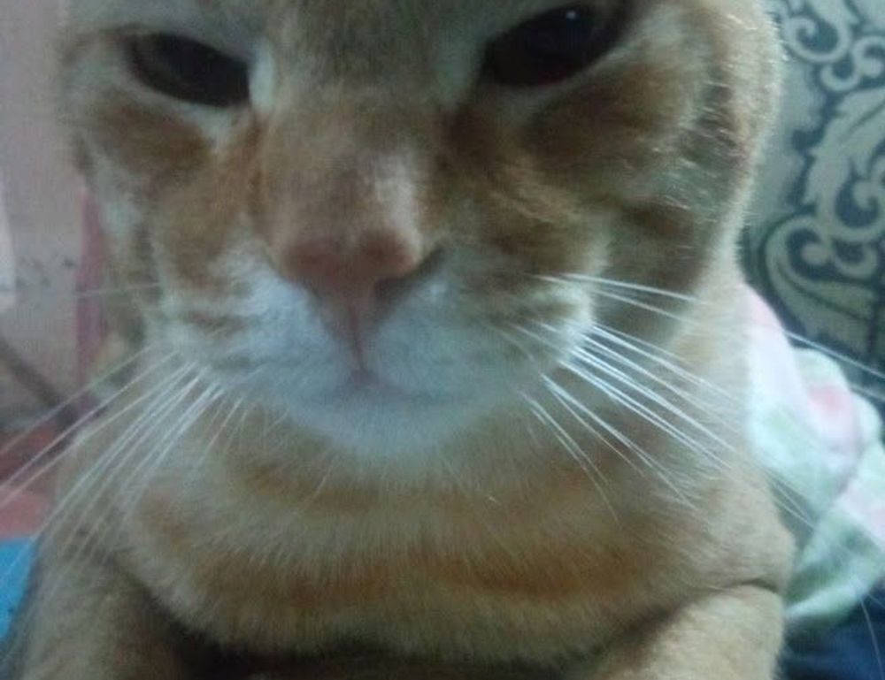 why video games are educational togplayering