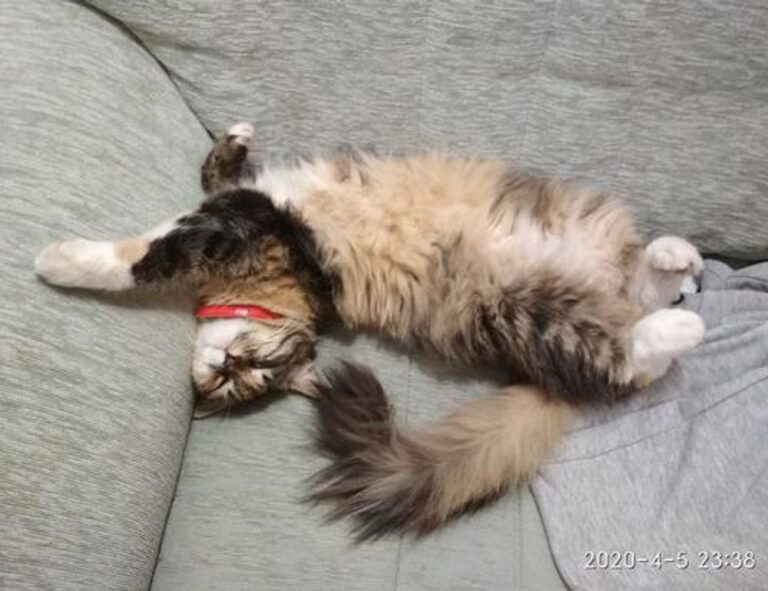 why video games are so popular togplayering