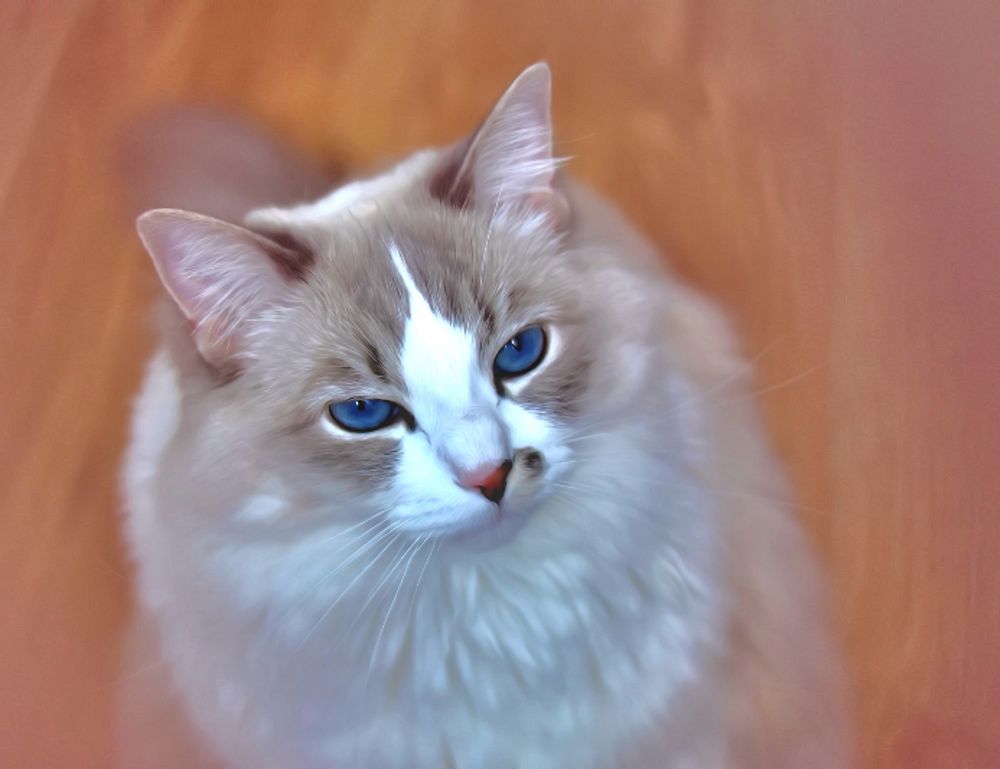 tech news digitalrgsorg