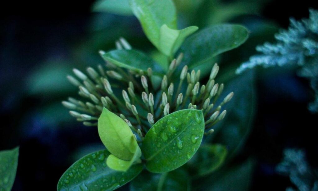 best cheap gaming pc upgrades jogameplayer