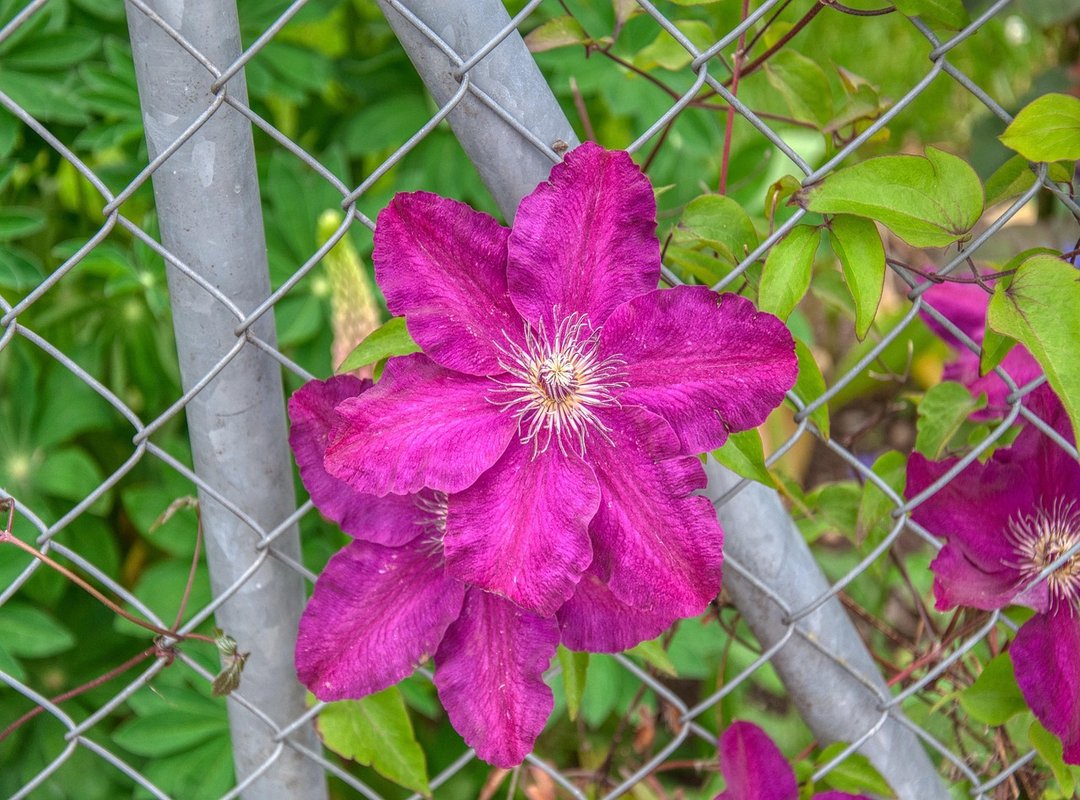 What Video Game Is Popular Now Togplayering