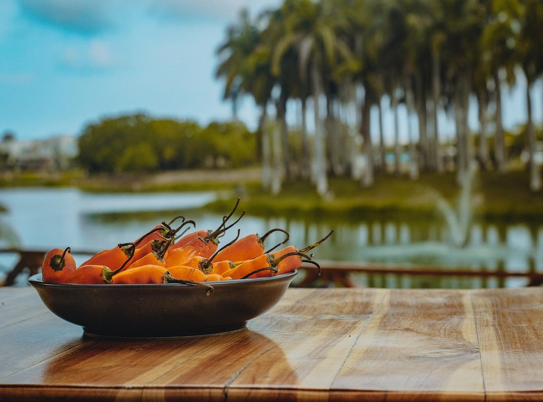 Best Methods for Sending Money from Chile to Colombia