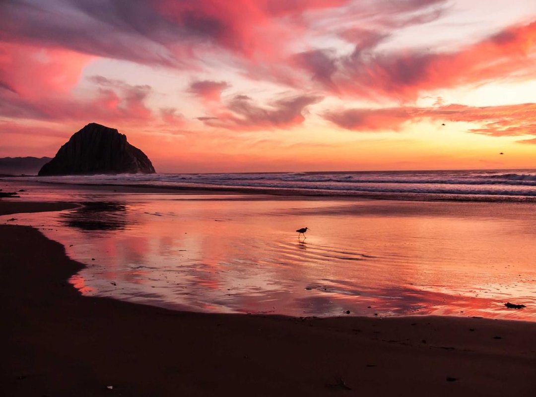 Placement, Pain, and Preparation: What to Know Before You Go