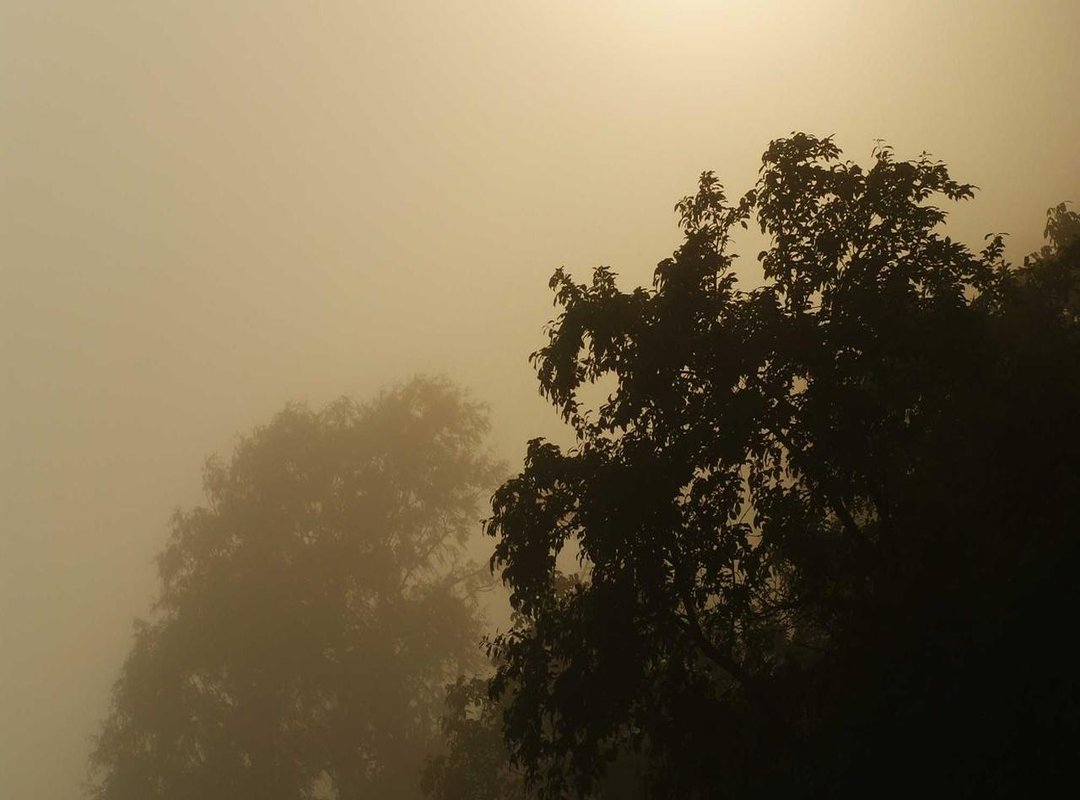 From Beach to Bar: How to Style Your New Bikini