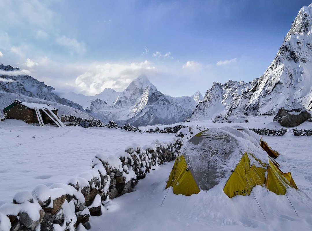 The Transformation: Documented Changes and Public Discussion