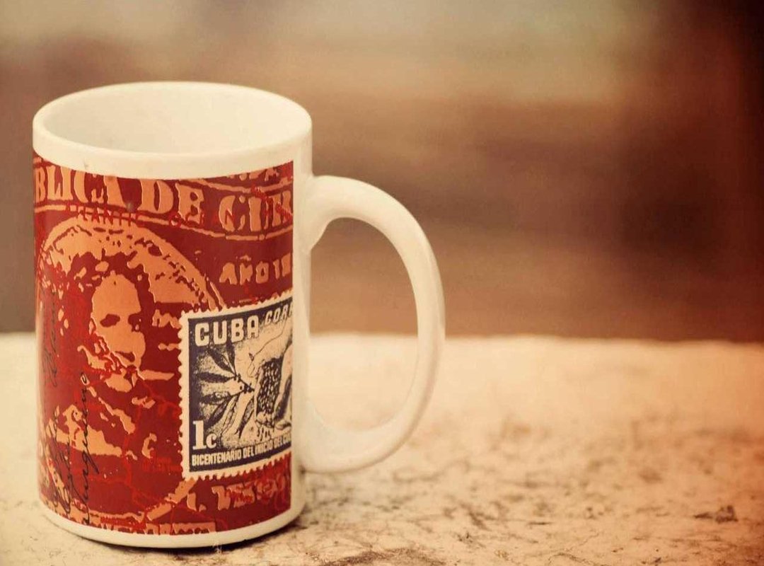 Putting It All Together: What the Evidence Shows