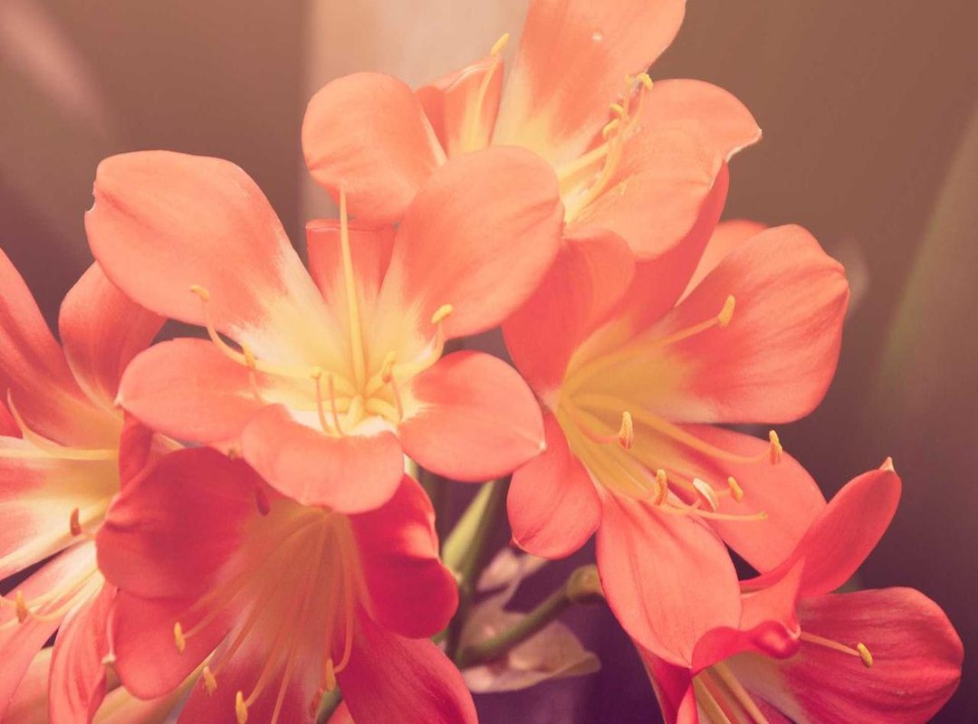 Character Arcs in Motion: Who Changed the Most?