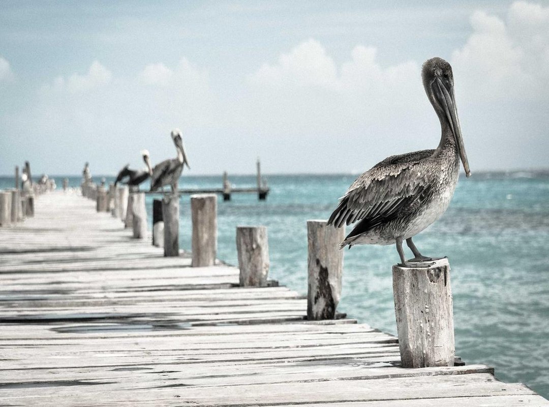 Top Free & Low-Cost Alternatives If You Can't Find a Fairybaby Deal