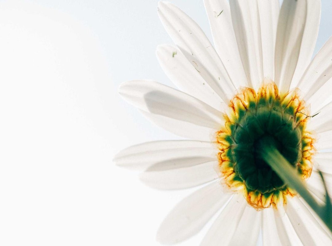 More Than Just Photos: Barrientos's Instagram Strategy