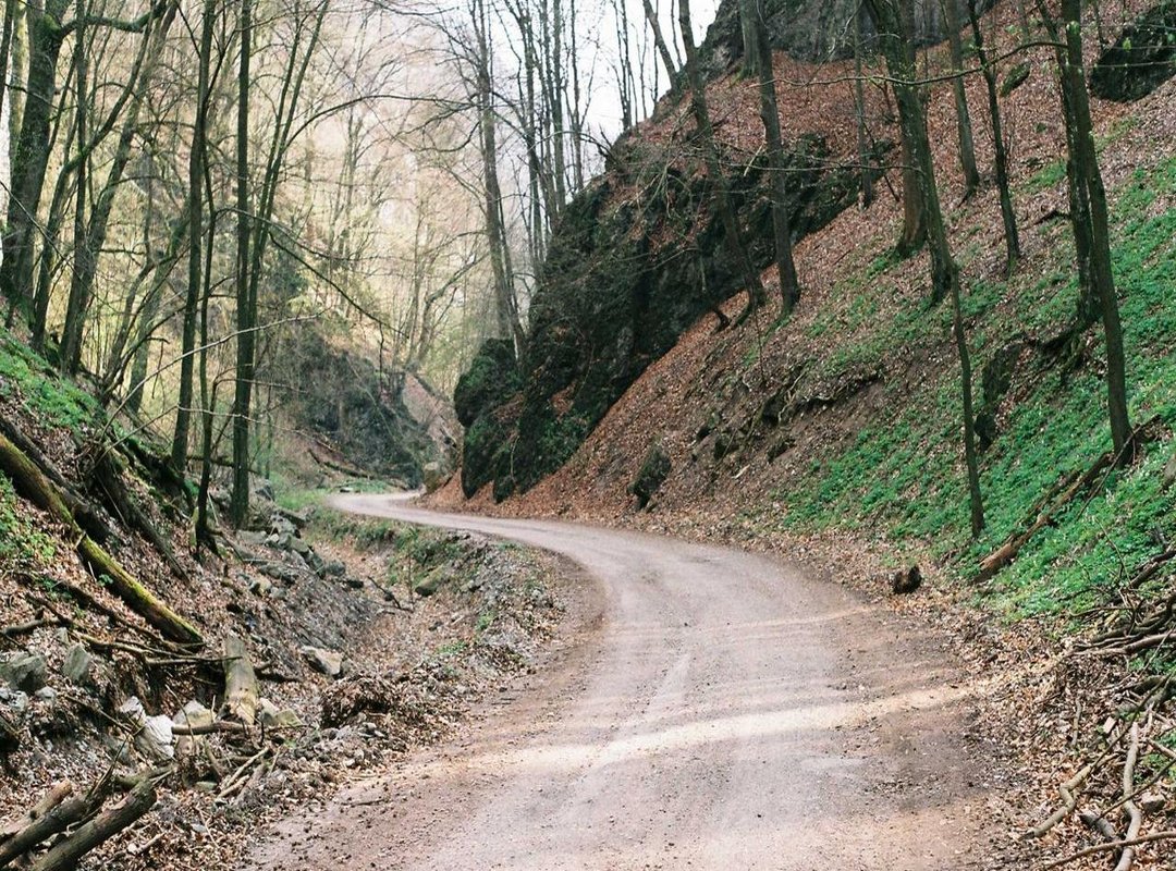 The Unseen Work: Foot Strength, Conditioning, and Injury Prevention