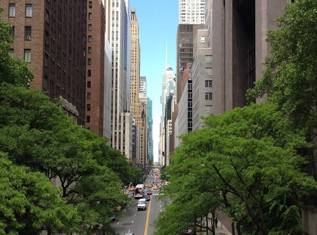 Your First Kawaii Figure: A Simple Step-by-Step Tutorial