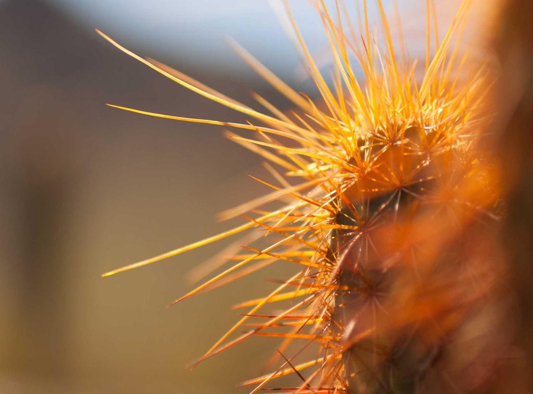 Looking Ahead: What Chapter 191 Means for the Future