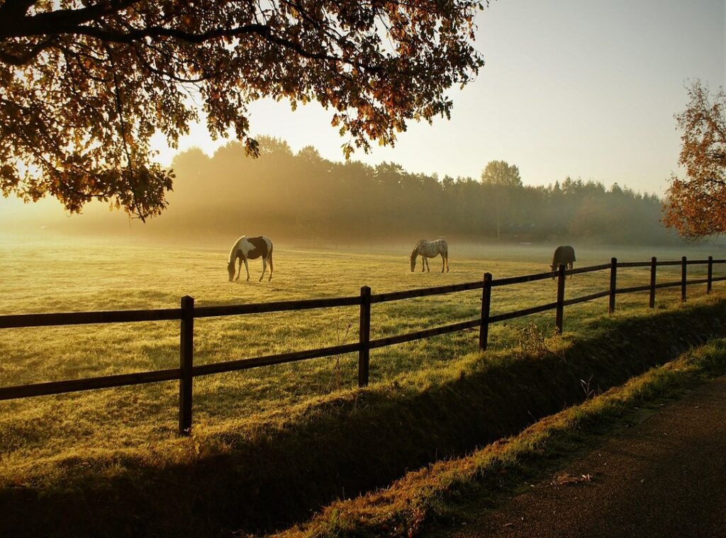 skinwalker ranch laatste nieuws