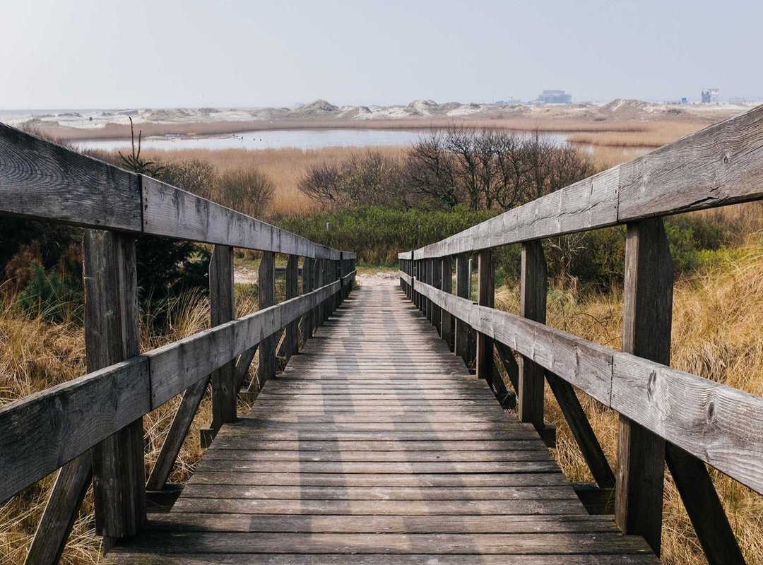 Beyond the Words: Unpacking the Deeper Themes and Symbolism